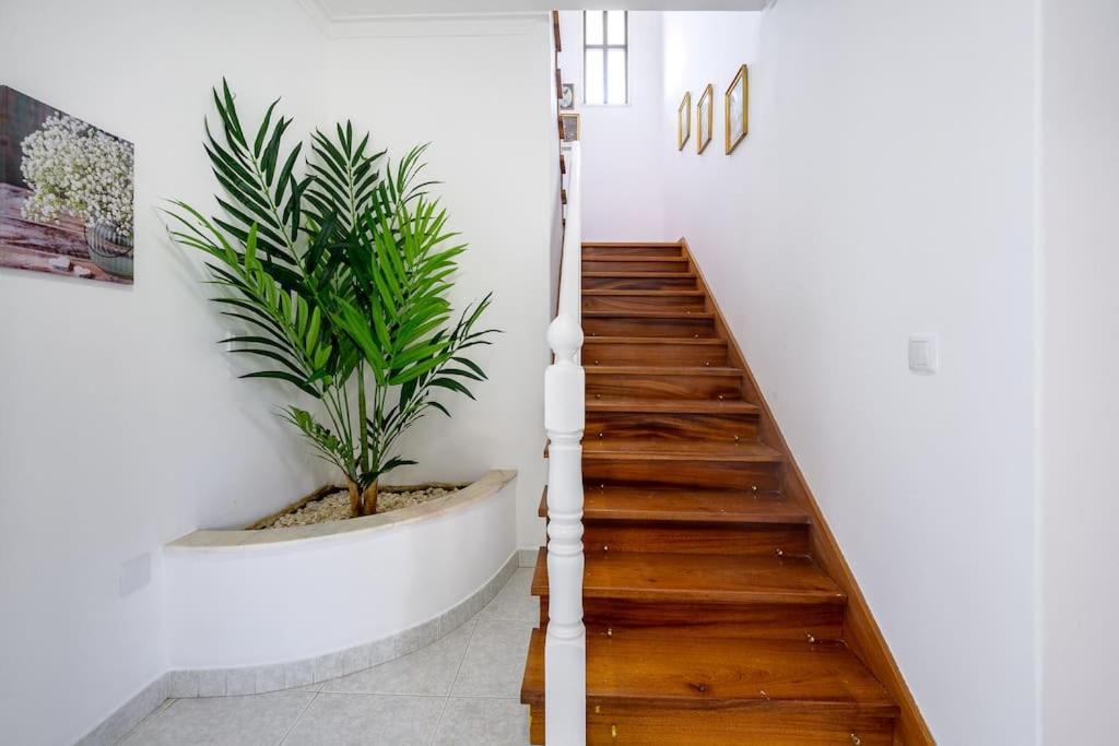 Holiday home Casa Amarela